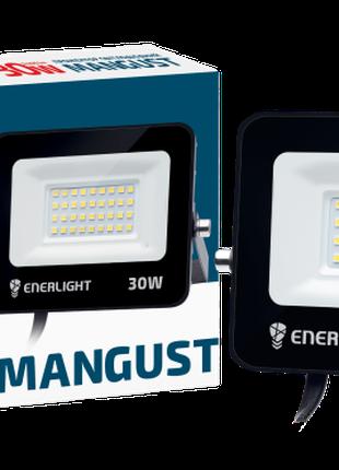 Прожектор светлодиодный ENERLIGHT MANGUST 30Вт 6500K