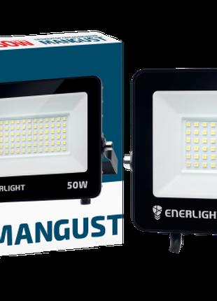 Прожектор светлодиодный ENERLIGHT MANGUST 50Вт 6500K