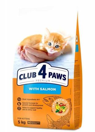 Club 4 Paws (Клуб 4 Лапы) Premium for kittens with Salmon сухо...