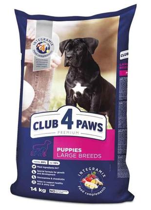 Club 4 Paws (Клуб 4 Лапы) Premium Puppy Large Breed Chicken су...