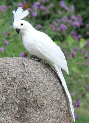 Папуга білий ABC-каваду Реалістичний декор