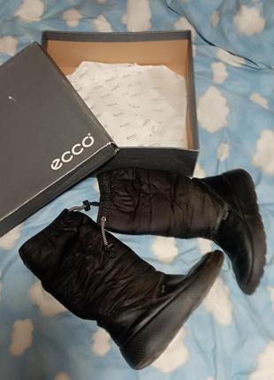 Зимние сапожки ecco gore tex