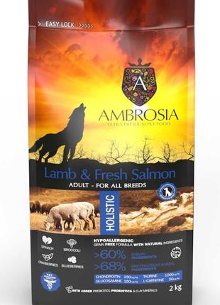 Гіпоалергенний сухий корм для дорослих собак ягня лосось AMBRO...