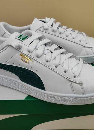 Puma baskets outlet