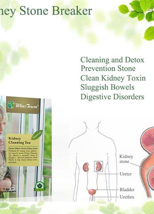 Травяной чай для очистки почек и печени Kidney Cleaning (20пак...