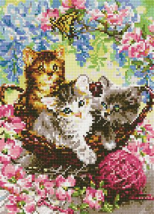 Алмазна мозаїка Грайливі кошенята 30х40 (Rainbow Art) EJ1369