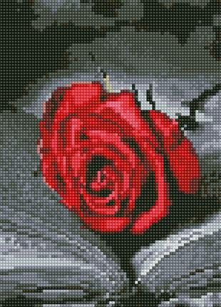 Алмазна мозаїка Троянда на книжці 30х40 (Rainbow Art) EJ1358