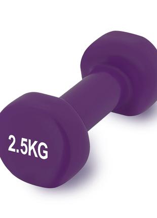 Гантель PowerPlay 4125 виниловая 2.5 кг Фиолетовая