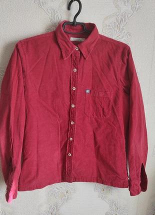 Куртка ветровка рубашка бордовая