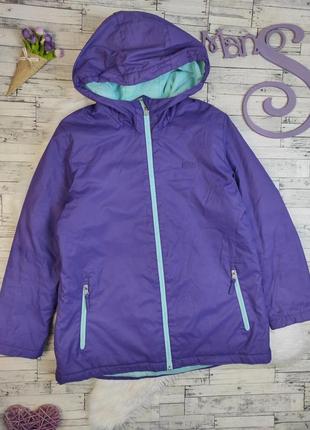 Женская куртка termit еврозима фиолетовая с капюшоном размер 5...