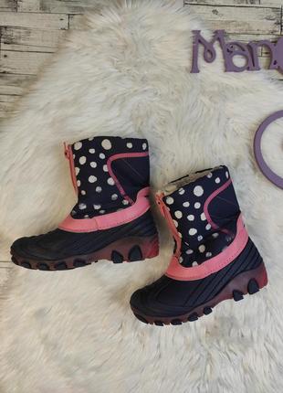 Дитячі зимові чоботи lupilu для дівчинки фіолетові розмір 30