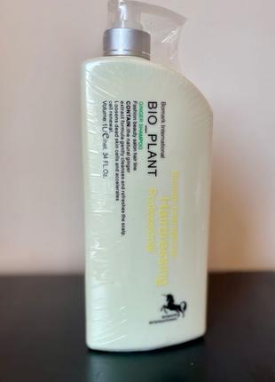 Bio-plant.Ginger shampoo. Стимулює ріст волосся