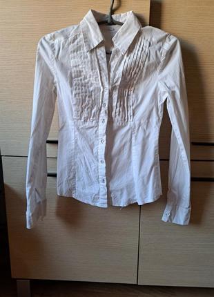 Белая рубашка блуза