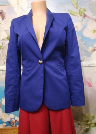 Піджак яскравого синьо-фіолетового кольору s