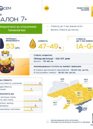 Насіння соняшника Авалон 2022рік