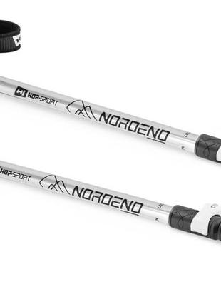 Трекинговые палки Hop-Sport Nordend Pro серебристые