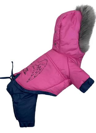Зимовий комбінезон зі знімними штанами для собак Dogs Bomba CO...