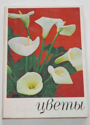 Квіти. кімнатні рослини і декоратівноцветущіе чагарники 1978 р...