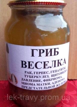 Гриб веселка, настоянка, 1 л Код/Артикул 111