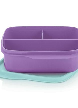 Ланч-Бокс Школяр 550 мл, Tupperware