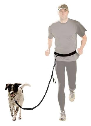 Повідець для бігу із собакою Zoofari, біговий повідець для соб...