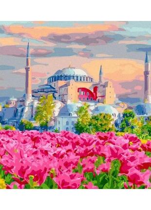 Картина по номерам "Стамбульские цветущие поля"