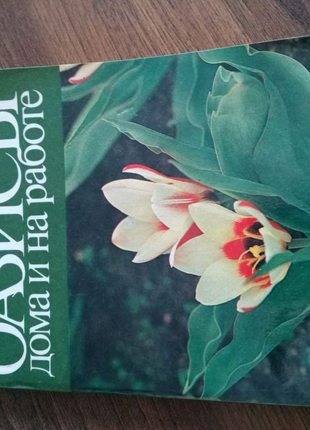 Книга. Зелёные оазисы дома и на работе. 1989 год