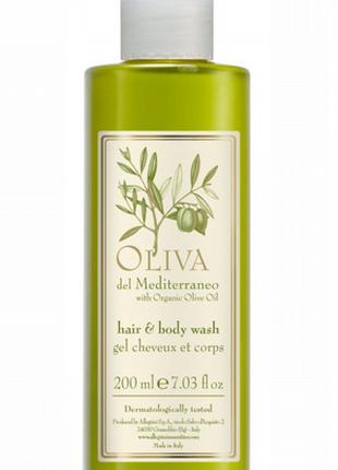 Allegrini Oliva Del Mediterraneo Hair & Body Wash шампунь і ге...