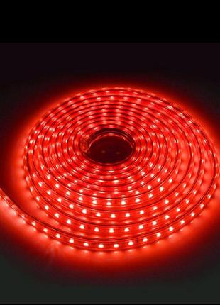 Светодиодные ленты MOD-3528 ( красный цвет )