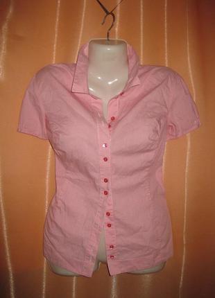 Блузка рубашка розовая в мелкую полосочку полосатая розовая с ...