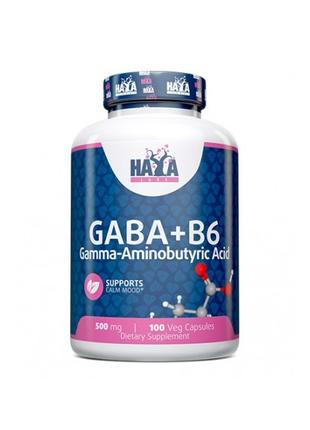 Аминокислота Haya Labs Gaba + B6, 100 вегакапсул