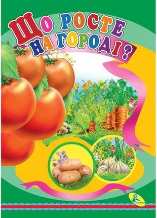 Книжка детская "Що росте на городі?"