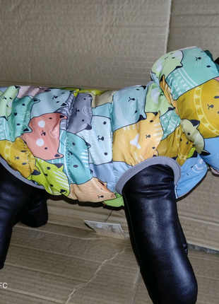 Жилет Марко собак (М2 довжина36-39 см, об'єм 58-68 см)pet fashion