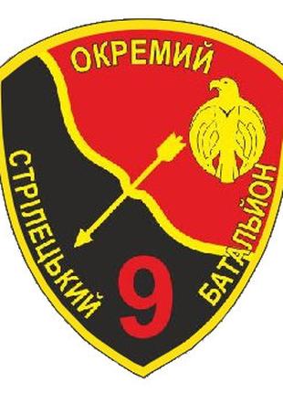 Шеврон 9-й отдельный стрелковый батальон (9 ОСБ) парадный Шевр...
