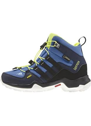 Кросівки adidas terrex mid gtx