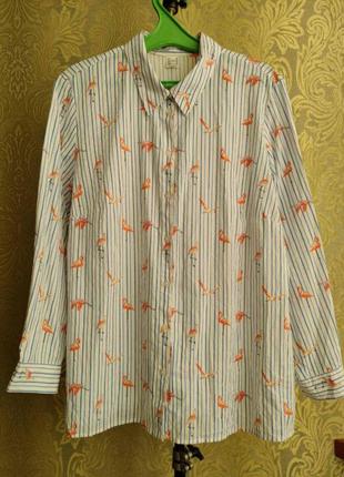 Сорочка блузка з птахами фламiнго