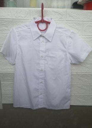 Белая рубашка на 9 лет с коротким рукавом