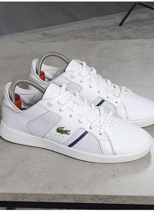 Кеди lacoste