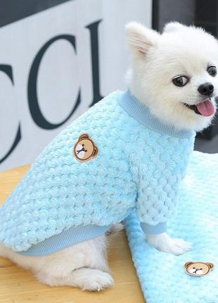Толстовка для собак  свитер с мишкой голубой м размер
