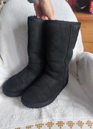 Сапоги угги ugg classic tall ii 38p кожа овчина оригинал