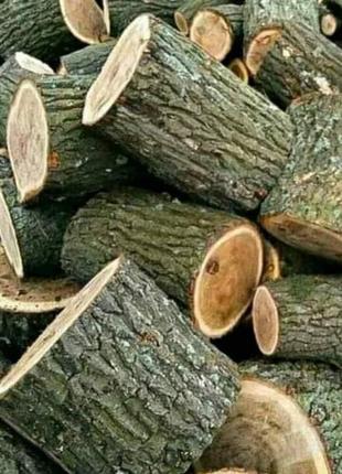 Продам дрова дуб Луцьк