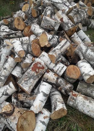 Продаємо дрова чурки різані колодки Ківерці