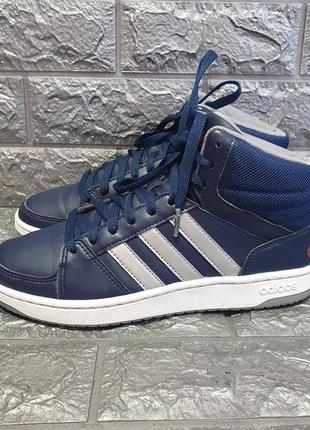 Кросівки adidas hoops vs mid(оригінал)