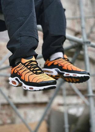 Orange store tiger tns