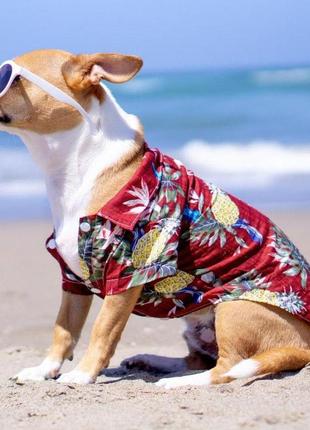 Рубашка для собак в гавайском стиле красная s