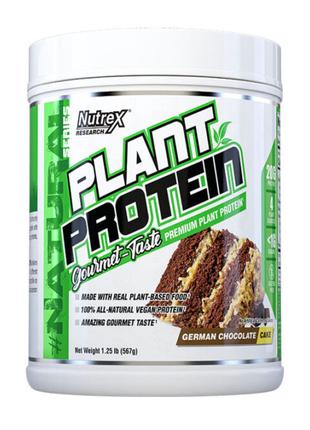 Plant Protein - 567g Cinnamon Cookies