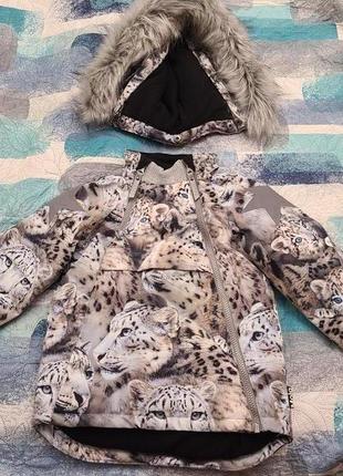 Зимняя куртка Molo 110 супер рисунок Леопарды Leopards
