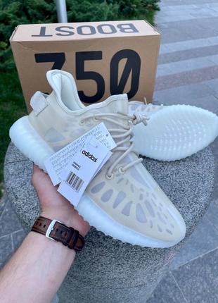 Yeezy boost 350 v2 sales gucci