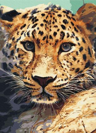 Картины по номерам 40×50 см. Портрет леопарда Brushme