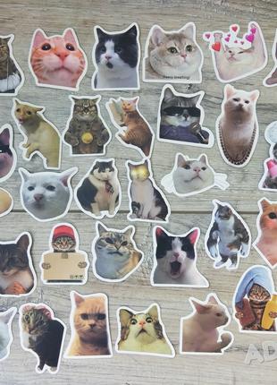 Наклейки стикеры мемы коты котики котята стикербомбинг 50 шт